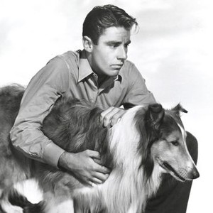 Son of Lassie (1945) photo 9