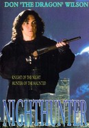 Night Hunter poster image