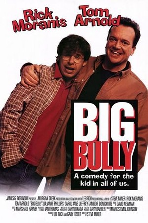 Big Bully poster