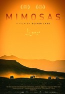 Mimosas poster image