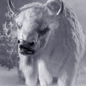 The White Buffalo (1977)