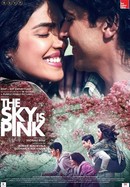The Sky Is Pink poster image