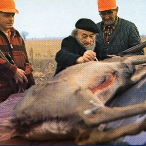 Stroszek (1977)