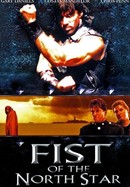 Fist of the North Star poster image