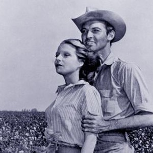 The Southerner (1945) photo 4