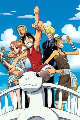 One Piece (season 9) - Wikipedia