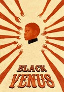 Black Venus poster image