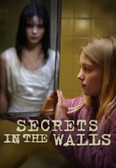 Secrets in the Walls poster image