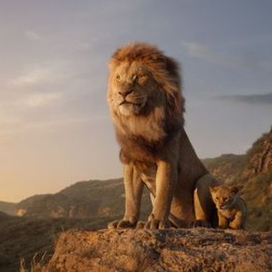The Lion King photo 4