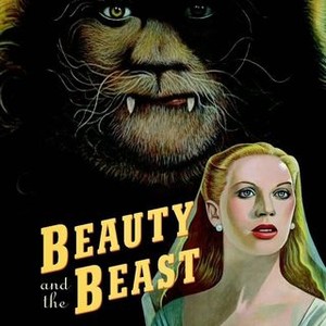 The Great Beauty - Rotten Tomatoes