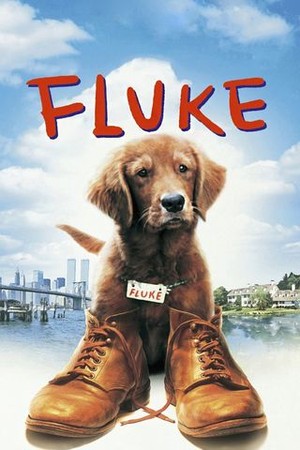 Fluke poster