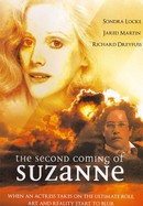 The Second Coming of Suzanne poster image