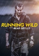 Running Wild With Bear Grylls poster image