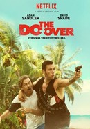 The Do Over poster image