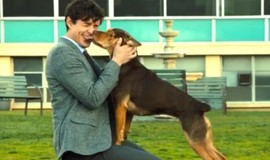 A Dog's Way Home: Official Clip - Finding Her Human