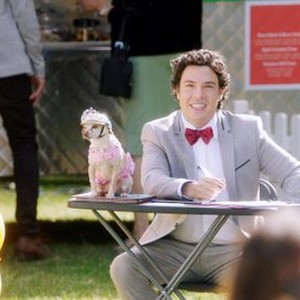 DOG DAYS, JON BASS, 2018. PH: JACOB YACOB/© LD ENTERTAINMENT
