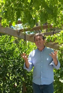 The Garden Gurus Season 33 Episode 14 Rotten Tomatoes The Garden Gurus Season 33 Episode 14 Rotten Tomatoes