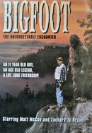 Bigfoot: The Unforgettable Encounter poster image