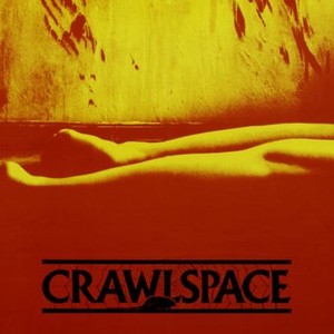 Crawlspace photo 6