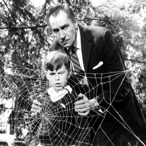 THE FLY, Charles Herbert, Vincent Price, 1958, spider web. TM and Copyright (c) 20th Century Fox Film Corp. All rights reserved.