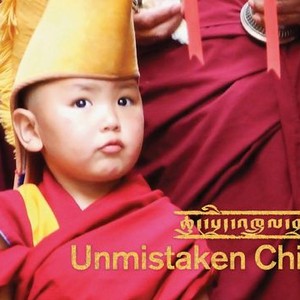 Unmistaken Child photo 10