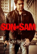 Son of Sam poster image