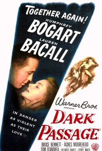 Poster for Dark Passage