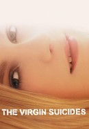The Virgin Suicides poster image