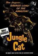 Jungle Cat poster image