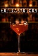 Hey Bartender! poster image