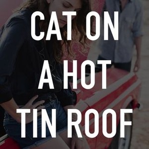 Cat on a Hot Tin Roof photo 3