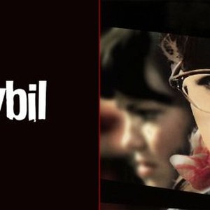 what is the movie sybil about