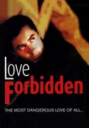 Love Forbidden poster image