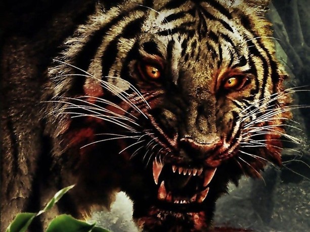 Tiger 2007 on sale