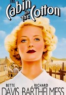 Cabin in the Cotton poster image
