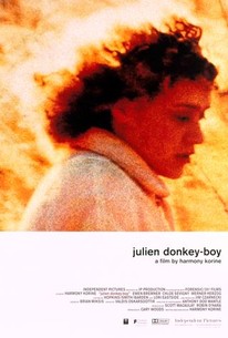 Poster for Julien Donkey-Boy