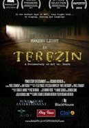 Making Light in Terezin poster image