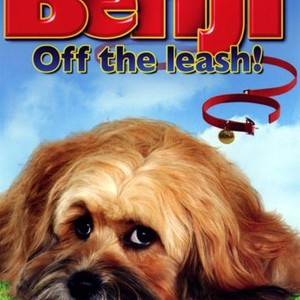 does the dog die in benji