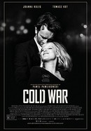 Cold War poster image