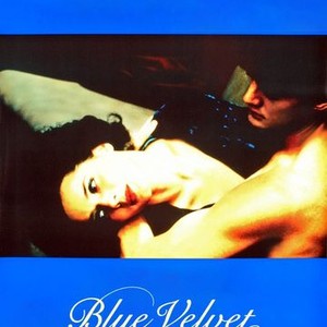 "Blue Velvet photo 7"