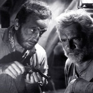 The Treasure of the Sierra Madre (1948) photo 14