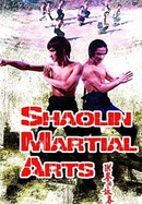 Shaolin Martial Arts poster image