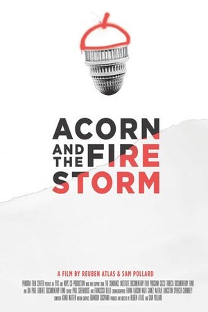 ACORN and the Firestorm poster