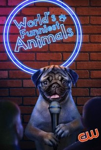 World's Funniest Animals: Season 4, Episode 1 - Rotten Tomatoes