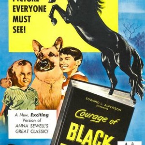 Courage of Black Beauty (1957)