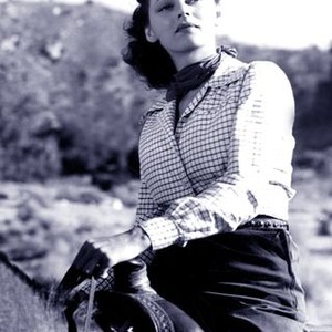 Ridin' Down the Canyon (1942) photo 7