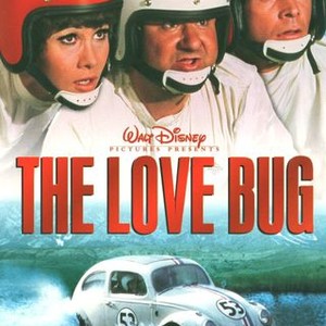 "The Love Bug photo 5"