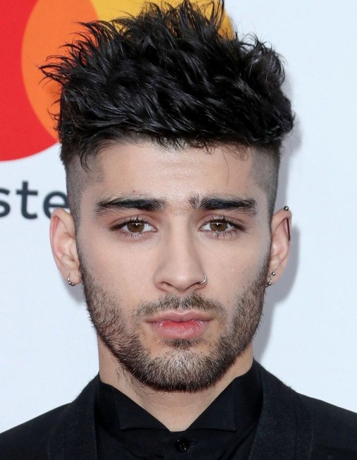 Zayn Malik - Rotten Tomatoes