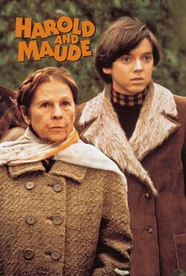 Watch trailer for Harold and Maude