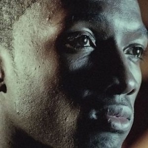 Joy Road - Rotten Tomatoes